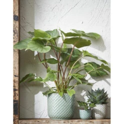 Mica Decorations - Plantenpot-bloempot - Keramiek Wit - D11 X H9 Cm -Prospeli Winkel 0ef574cea6d040379632848070e57a15