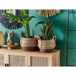 Beliani Bloempot Voor Binnen PALADJU - Natuurlijk Zeewier 7 Beliani Bloempot Voor Binnen PALADJU - Natuurlijk Zeewier -Prospeli Winkel 1000065148 0101