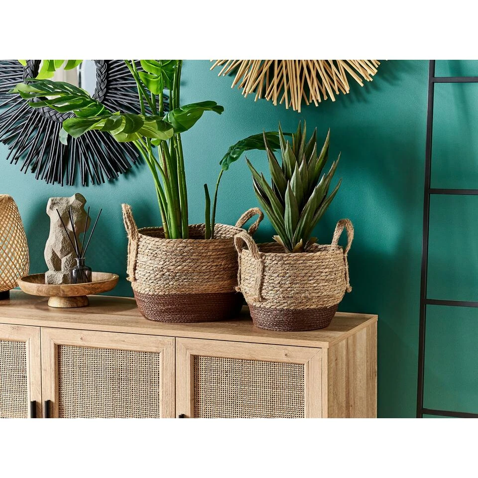 Beliani Bloempot Voor Binnen PALADJU - Natuurlijk Zeewier 4 Beliani Bloempot Voor Binnen PALADJU - Natuurlijk Zeewier - Afbeelding 2