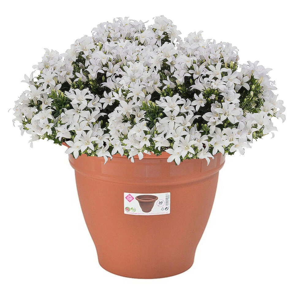 Hega Hogar Plantenpot/bloempot - Kunststof - Terra Cotta - D30 X H23 Cm 4 Hega Hogar Plantenpot/bloempot - Kunststof - Terra Cotta - D30 X H23 Cm - Afbeelding 2