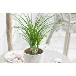 Prospeli Winkel -Prospeli Winkel 1883107740 0101