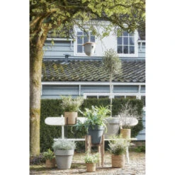 Mica Decorations Plantenmand - Naturel Bruin - Rotan - 16 Cm 7 Mica Decorations Plantenmand - Naturel Bruin - Rotan - 16 Cm -Prospeli Winkel 2b0b8f38966842c5b643c1607749aae4