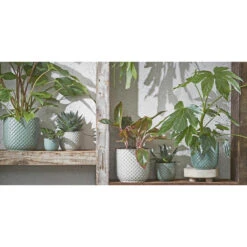 Mica Decorations - Plantenpot-bloempot - Keramiek Wit - D11 X H9 Cm -Prospeli Winkel f29d17ab6455406f8a7d57481096ace8
