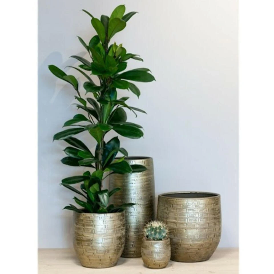 Bela Arte Plantenpot - Keramiek - Goud Glans - D24-H22 Cm 4 Bela Arte Plantenpot - Keramiek - Goud Glans - D24-H22 Cm - Afbeelding 2