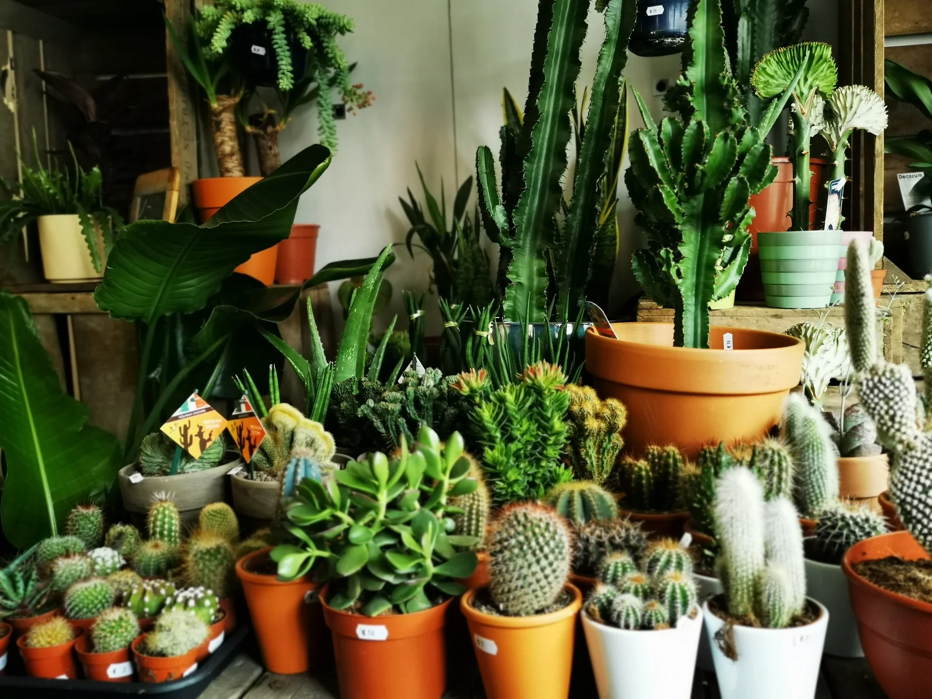 Prospeli Winkel -Prospeli Winkel IMG 20220604 120710